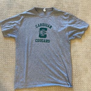 Gray jerzees dri power shirt (small)